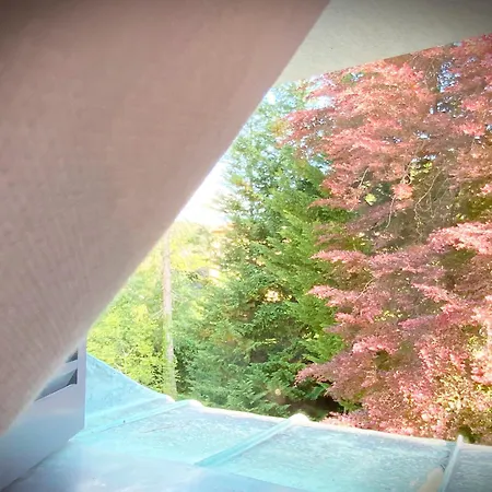 Hartmann Feel At ベッド・アンド・ブレックファスト